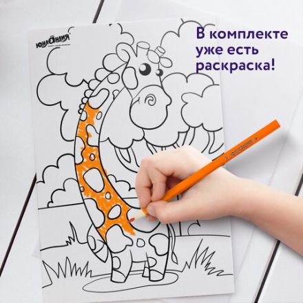 Карандаши цветные ЮНЛАНДИЯ "ТРОПИКИ", 12 цветов, с РАСКРАСКОЙ, трехгранные, грифель 3 мм, натуральное дерево, 181647