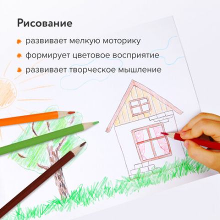 Карандаши цветные ЮНЛАНДИЯ "ТРОПИКИ", 12 цветов, с РАСКРАСКОЙ, трехгранные, грифель 3 мм, натуральное дерево, 181647