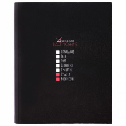 Тетрадь на кольцах А5 175х215 мм, 120 листов, твердый картон, клетка, BRAUBERG, "Стадии недели", 404717 Тетрадь на кольцах А5 175х215 мм, 120 листов, твердый картон, клетка, BRAUBERG, "Стадии недели", 404717