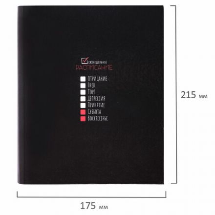 Тетрадь на кольцах А5 175х215 мм, 120 листов, твердый картон, клетка, BRAUBERG, "Стадии недели", 404717 Тетрадь на кольцах А5 175х215 мм, 120 листов, твердый картон, клетка, BRAUBERG, "Стадии недели", 404717