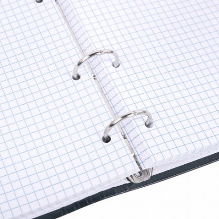 Тетрадь на кольцах А5 175х215 мм, 120 листов, твердый картон, клетка, BRAUBERG, "Стадии недели", 404717 Тетрадь на кольцах А5 175х215 мм, 120 листов, твердый картон, клетка, BRAUBERG, "Стадии недели", 404717