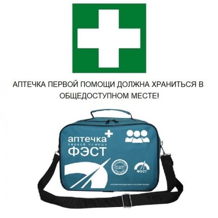 Аптечка первой помощи энергетика ФЭСТ (сумка) арт 1284 Аптечка первой помощи энергетика ФЭСТ (сумка) арт 1284
