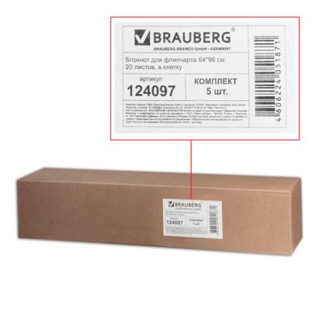 Блокноты для флипчарта ПЛОТНЫЕ 80 г/м2, BRAUBERG, 67,5х98 см, КОМПЛЕКТ 5 шт., 20 л., клетка, 124097