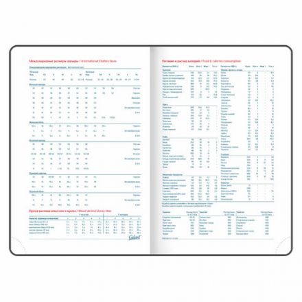 Ежедневник недатированный А5 148х218 мм GALANT "Ritter", под кожу, 160 л., черный, 114464 Ежедневник недатированный А5 148х218 мм GALANT "Ritter", под кожу, 160 л., черный, 114464