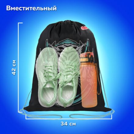 Мешок для обуви ПИФАГОР, 1 отделение, 42х34 см, "White tiger", 272389