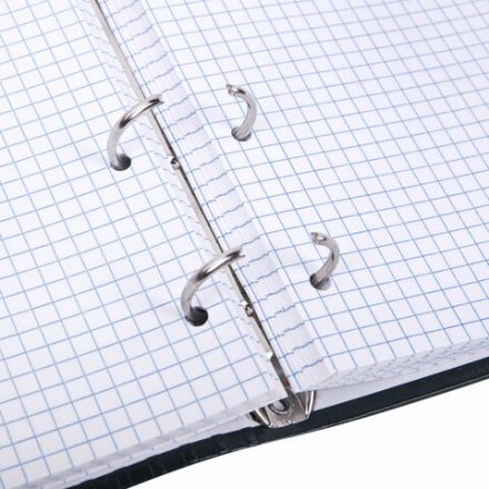 Тетрадь на кольцах А5 175х215 мм, 120 листов, твердый картон, клетка, BRAUBERG, "Classic", 404718