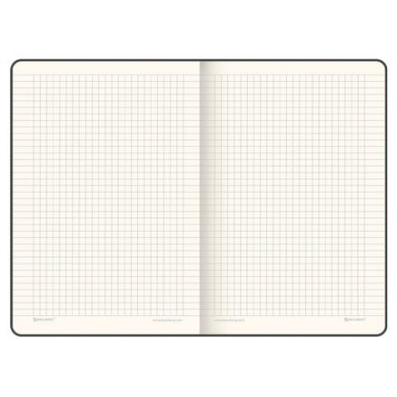 Блокнот А5 (148х218 мм), BRAUBERG "Income", 128 л., гладкий кожзаменитель, клетка, черный, 125208