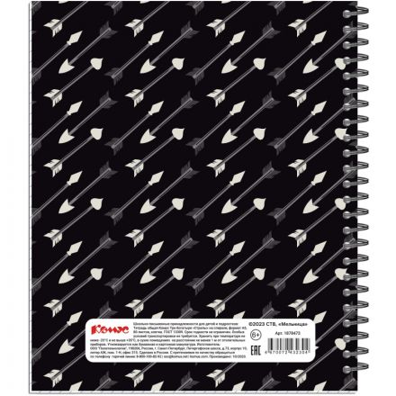 Тетрадь общая Комус Три богатыря Стрелы А5, 80л., клетка, спираль, ВБ-лак