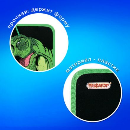 Папка для труда на молнии с ручками ПИФАГОР А4, 1 отделение, пластик, органайзер, "Dino roar", 272230 Папка для труда на молнии с ручками ПИФАГОР А4, 1 отделение, пластик, органайзер, "Dino roar", 272230