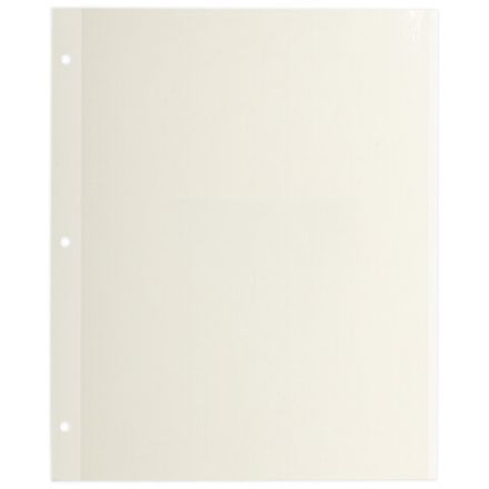 Листы для фотоальбома магнитные 23х28 см, КОМПЛЕКТ 10 шт., BRAUBERG, 391312