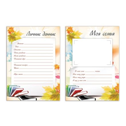 Листы-вкладыши для портфолио ШКОЛЬНИКА, 30 разделов, 32 листа, "Моё портфолио", BRAUBERG, 127550 Листы-вкладыши для портфолио ШКОЛЬНИКА, 30 разделов, 32 листа, "Моё портфолио", BRAUBERG, 127550