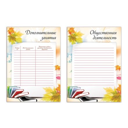 Листы-вкладыши для портфолио ШКОЛЬНИКА, 30 разделов, 32 листа, "Моё портфолио", BRAUBERG, 127550 Листы-вкладыши для портфолио ШКОЛЬНИКА, 30 разделов, 32 листа, "Моё портфолио", BRAUBERG, 127550