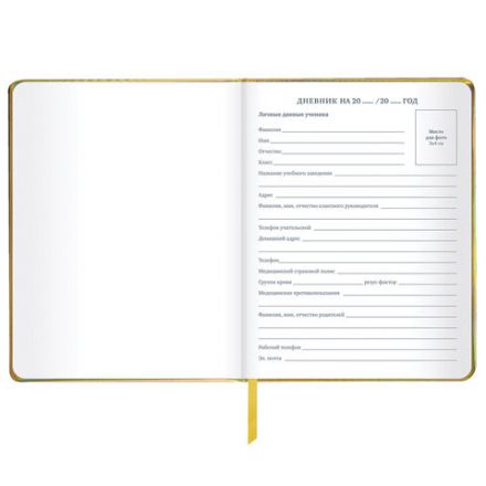 Дневник 1-11 класс 48 л., кожзам (твердая с поролоном), фольга, BRAUBERG HOLIDAY, "Музыка", 106914