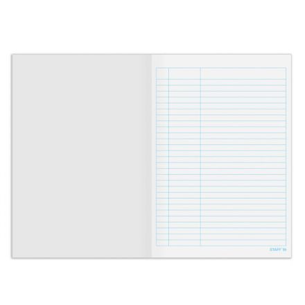 Книга учета 48 л., пустографка, обложка из мелованного картона, блок офсет, А4 200х290 мм, STAFF, 130212