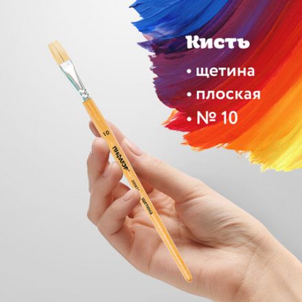 Кисть ПИФАГОР, ЩЕТИНА, плоская, № 10, деревянная лакированная ручка, пакет с подвесом, 200874 Кисть ПИФАГОР, ЩЕТИНА, плоская, № 10, деревянная лакированная ручка, пакет с подвесом, 200874