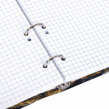 Тетрадь на кольцах А5 175х215 мм, 120 листов, твердый картон, фольга, клетка, BRAUBERG, "Marble", 404719