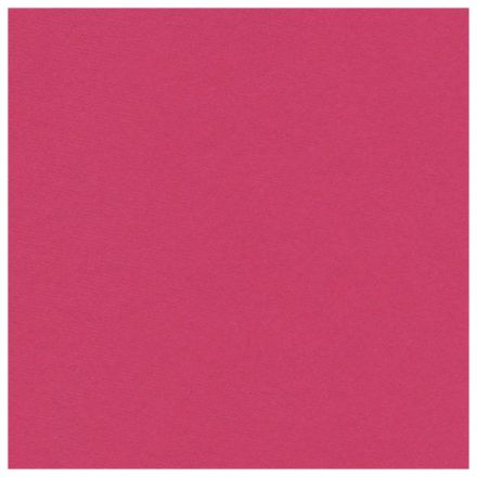 Картон цветной А4 немелованный (матовый), ВОЛШЕБНЫЙ, 10 листов 10 цветов, в папке, ПИФАГОР, 200х290 мм, "Лисенок", 129912