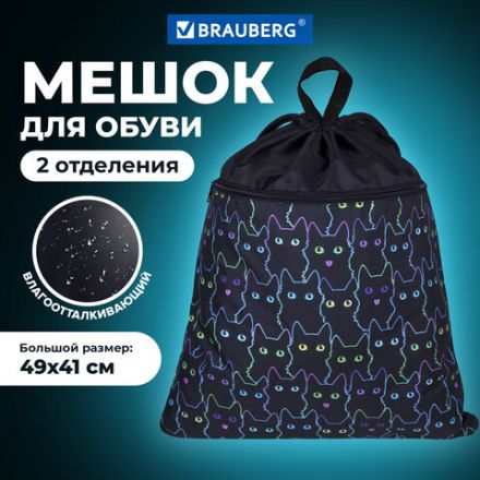 Мешок для обуви BRAUBERG БОЛЬШОЙ, с ручкой, карман на молнии, сетка, 49х41 см, "Cats", 271059