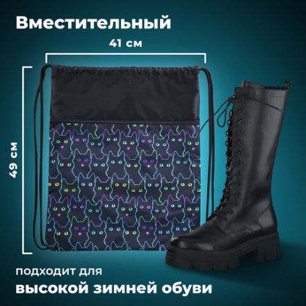 Мешок для обуви BRAUBERG БОЛЬШОЙ, с ручкой, карман на молнии, сетка, 49х41 см, "Cats", 271059