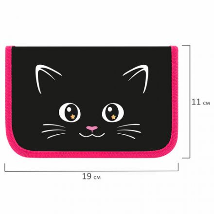 Пенал ПИФАГОР, 1 отделение, ламинированный картон, 19х11 см, "Dark kitten", 273467 Пенал ПИФАГОР, 1 отделение, ламинированный картон, 19х11 см, "Dark kitten", 273467