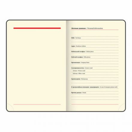 Ежедневник недатированный МАЛЫЙ ФОРМАТ 100x150 мм, А6, BRAUBERG "Iguana", под кожу, 160 л., синий, 114467