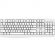 Клавиатура Acer OKW301 белый USB (ZL.KBDCC.01B) Клавиатура Acer OKW301 белый USB (ZL.KBDCC.01B)