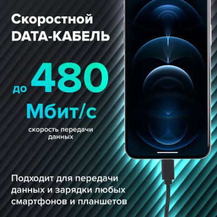 Кабель USB 2.0 – Lightning, 1 м, SONNEN, медь, для передачи данных и зарядки, черный, 513116 Кабель USB 2.0 – Lightning, 1 м, SONNEN, медь, для передачи данных и зарядки, черный, 513116