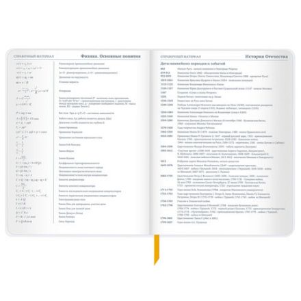 Дневник 1-11 класс 48 л., кожзам (гибкая), печать, фольга, BRAUBERG, "Mountains", 106223