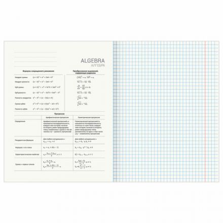 Тетради предметные, КОМПЛЕКТ 12 ПРЕДМЕТОВ, 48 л., обложка картон, BRAUBERG, "КЛАССИКА SCIENCE", 404843