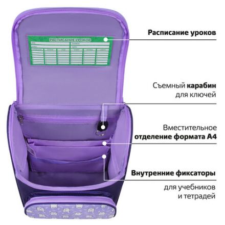 Ранец ПИФАГОР BASIC, 1 отделение, 3 кармана, эргономичная спинка, "Happy bear", 35х28х18 см, 272047