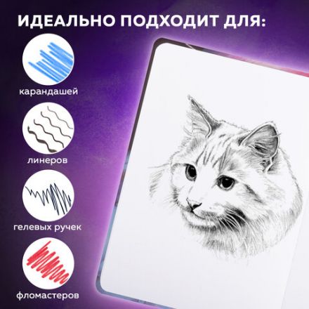 Скетчбук, белая бумага 120 г/м2, 145х203 мм, 80 л., резинка, твердый, BRAUBERG ART DEBUT "Фламинго", 114584