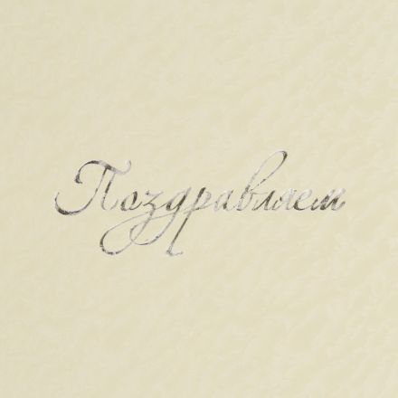 Папка адресная ПОЗДРАВЛЯЕМ белая