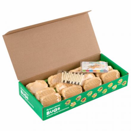 Набор для раскопок "Насекомые", 12 видов, карточки, инструменты, BRAUBERG KIDS, 665127