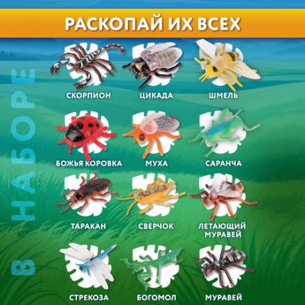 Набор для раскопок "Насекомые", 12 видов, карточки, инструменты, BRAUBERG KIDS, 665127