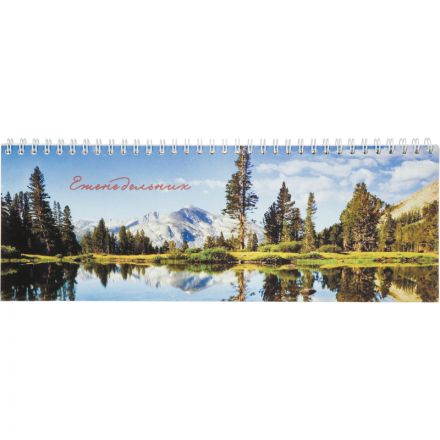 Планинг недатированный Attache Economy картон 56 листов в ассортименте (300х100 мм)