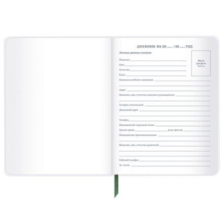 Дневник 1-11 класс 48 л., кожзам (гибкая), печать, фольга, BRAUBERG, "Милитари", 106224
