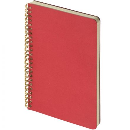 Бизнес-тетрадь А5 60л клет BrunoVisconti PRAGMATIC красн,греб 7-60-1255/05