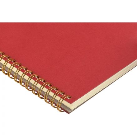 Бизнес-тетрадь А5 60л клет BrunoVisconti PRAGMATIC красн,греб 7-60-1255/05