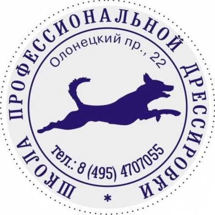 Оснастка для печати кругл. карман. Stamp Mouse R40 рубин Colop Оснастка для печати кругл. карман. Stamp Mouse R40 рубин Colop