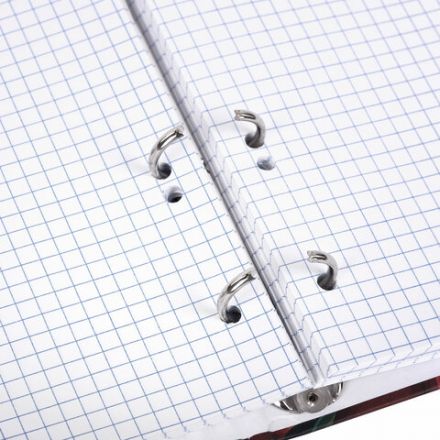 Тетрадь на кольцах А5 175х215 мм, 120 листов, твердый картон, фольга, клетка, BRAUBERG, "Pomegranate", 404720