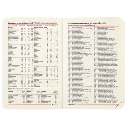 Ежедневник недатированный МАЛЫЙ 100х150 мм А6 BRAUBERG "Metropolis Ultra", под кожу, 160 л., красный, 113299 Ежедневник недатированный МАЛЫЙ 100х150 мм А6 BRAUBERG "Metropolis Ultra", под кожу, 160 л., красный, 113299