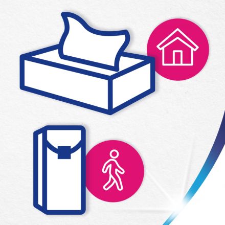 Салфетки косметические ZEWA Everyday 2-сл 250шт/уп 8679