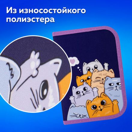Пенал ПИФАГОР, 1 отделение, 1 откидная планка, полиэстер, 19х13 см, "Cats greetings", 272291