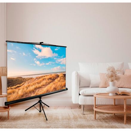 Экран Cactus Triscreen CS-PST-180x180, 180x180 см, 1:1, напольный, черный Экран Cactus Triscreen CS-PST-180x180, 180x180 см, 1:1, напольный, черный