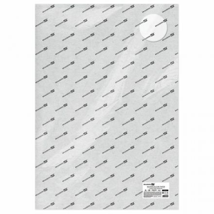 Бумага для акварели 300 г/м2 560x760 мм крупное зерно, 10 листов, BRAUBERG ART PREMIERE, 113239 Бумага для акварели 300 г/м2 560x760 мм крупное зерно, 10 листов, BRAUBERG ART PREMIERE, 113239