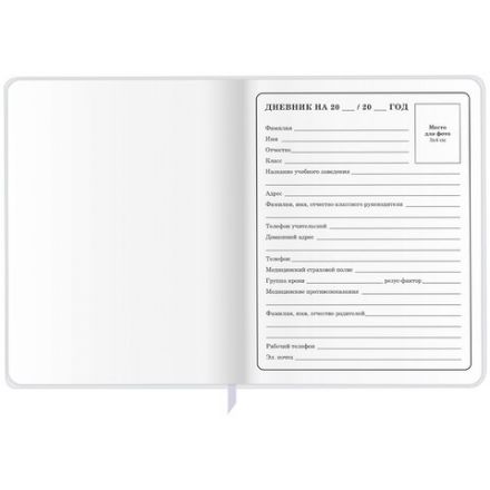 Дневник 1-4 класс 48 л., кожзам (гибкая), печать, фольга, ЮНЛАНДИЯ, "Лисёнок", 106216