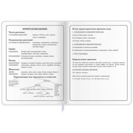 Дневник 1-4 класс 48 л., кожзам (гибкая), печать, фольга, ЮНЛАНДИЯ, "Лисёнок", 106216