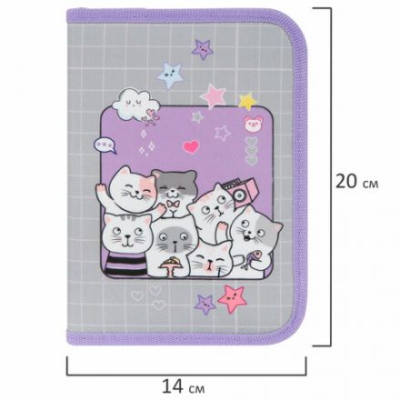 Пенал ПИФАГОР, 1 отделение, 2 откидные планки, полиэстер, 20х14 см, "Cats selfie", 273477