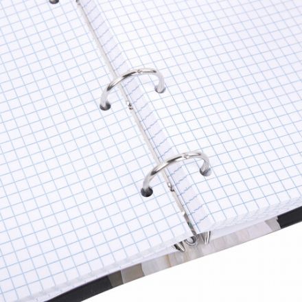 Тетрадь на кольцах А5 175х215 мм, 120 листов, твердый картон, фольга, клетка, BRAUBERG, "Bloom", 404721 Тетрадь на кольцах А5 175х215 мм, 120 листов, твердый картон, фольга, клетка, BRAUBERG, "Bloom", 404721