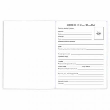 Дневник 1-11 класс 40 л., на скобе, ПИФАГОР, обложка картон, "Котик", 107131